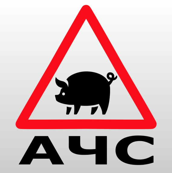 АЧС. АЧС.
