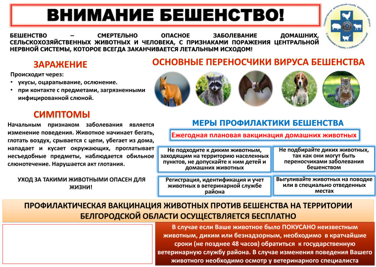 Внимание бешенство!. Внимание бешенство!.